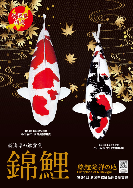 第65何毅新潟県錦鯉品評会ポスター